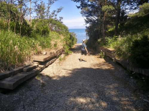 A person walks down a gravel path surrounded by greenery, leading to a view of the ocean in the distance.