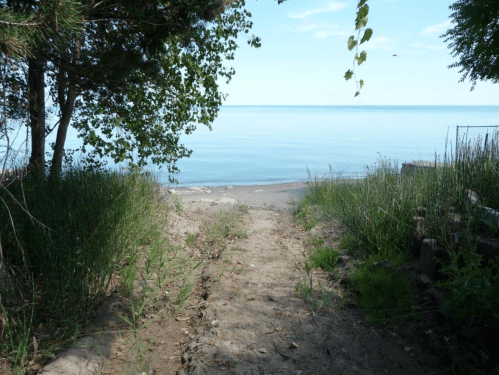 A serene path leading to a calm lake, surrounded by greenery and trees under a clear blue sky.