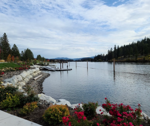 A serene lakeside view with a calm water surface, surrounded by trees and colorful flowers along the shore.