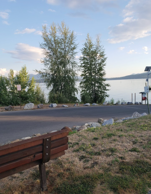 A peaceful lakeside view with trees, a bench, and a road leading to the water under a clear sky.