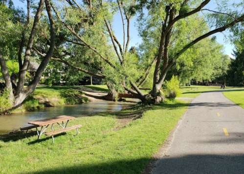 A peaceful park scene with a winding path, a creek, and large trees, featuring a picnic table by the water.