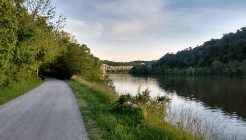 A peaceful riverside path lined with greenery, leading to a bridge over the water under a clear sky.