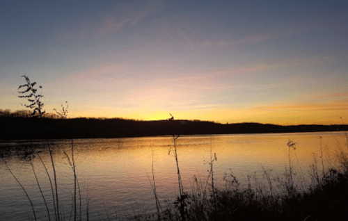 A serene sunset over a calm river, with silhouettes of grass and trees along the shoreline.