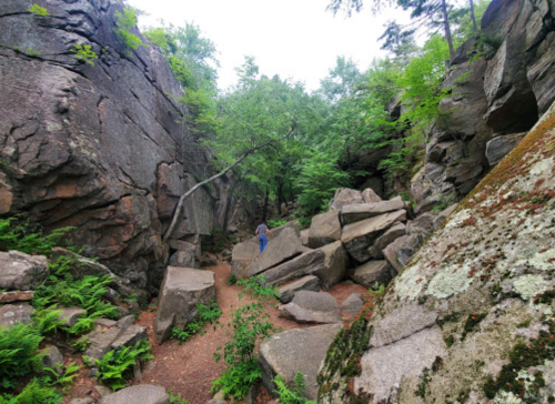 A person explores a rocky canyon surrounded by lush greenery and large boulders.