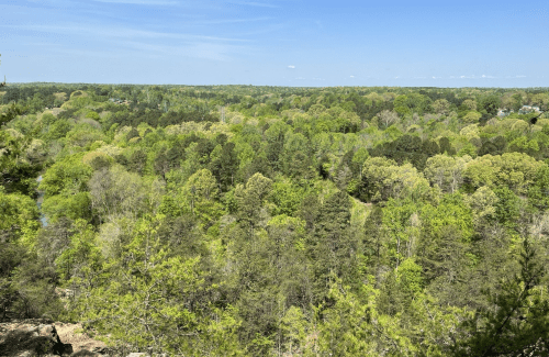 A panoramic view of lush green trees and rolling hills under a clear blue sky.
