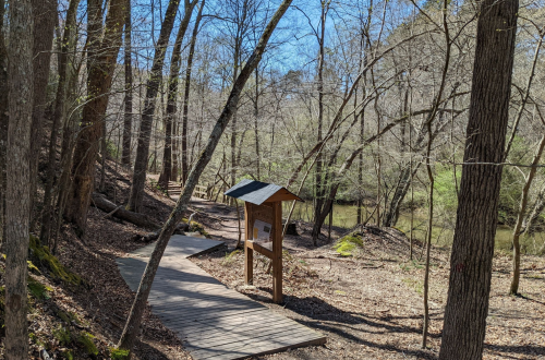 A wooden path leads through a forest with bare trees, alongside a calm river on a sunny day.