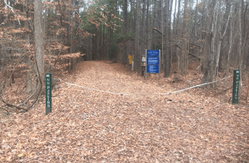 A forest path covered in leaves, marked by "No Parking" signs and a rope barrier at the entrance.