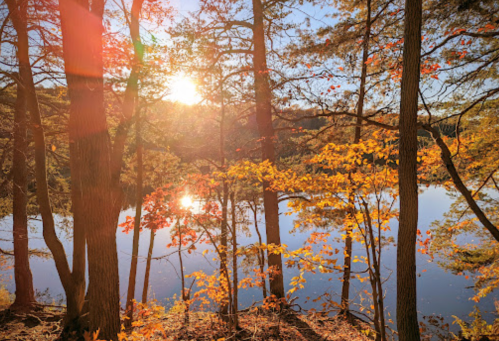 Sunlight filters through trees, illuminating autumn leaves by a calm lake at sunset.