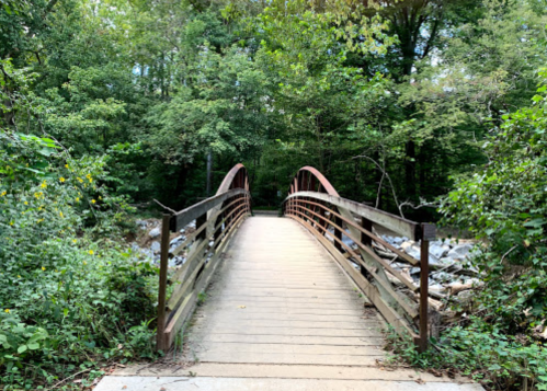 A wooden bridge arches over a rocky path, surrounded by lush green trees and foliage.