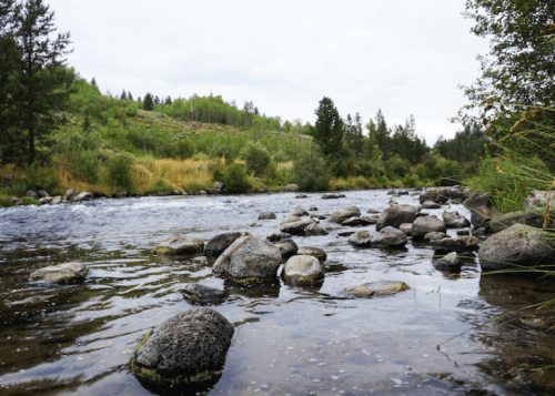 A serene river scene with smooth stones, surrounded by lush greenery and trees under a cloudy sky.