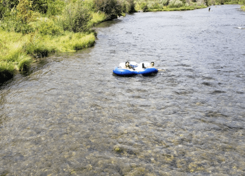 Two people relax on a blue inflatable raft in a calm river surrounded by greenery.