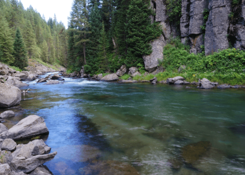 A serene river flows through a lush green forest, surrounded by rocky banks and tall trees.