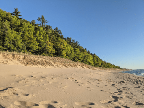 A sandy beach with gentle waves, bordered by lush green trees under a clear blue sky.