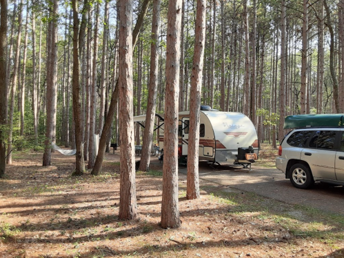 A camper and SUV parked among tall pine trees in a wooded area, with a hammock visible in the background.