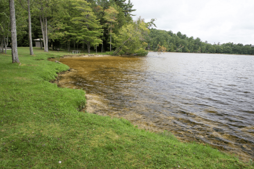 A serene lakeside view with grassy banks, trees, and calm water under a cloudy sky.