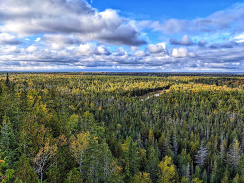 A panoramic view of a lush green forest under a cloudy blue sky, with hints of autumn colors in the trees.