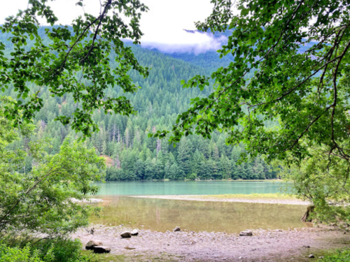 A serene lake surrounded by lush green trees and mountains, with misty clouds hovering above the peaks.