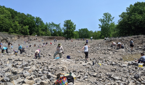 A large group of people is digging and searching through a rocky area under a clear blue sky, surrounded by trees.