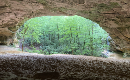 View from inside a cave, showcasing lush green trees and a sandy floor illuminated by natural light.