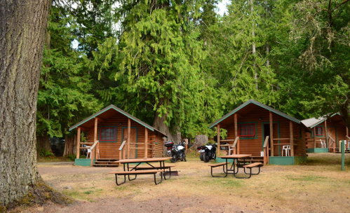 Two rustic cabins surrounded by tall trees, with picnic tables and motorcycles parked nearby.