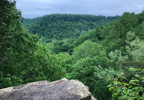 A rocky ledge overlooks a lush green forest and rolling hills under a cloudy sky.