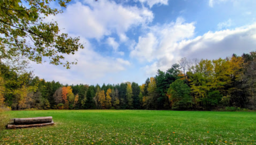 A grassy field surrounded by trees with autumn foliage under a partly cloudy sky.
