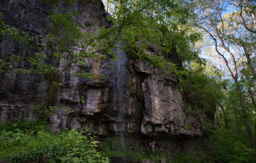 A serene waterfall cascading down a rocky cliff, surrounded by lush green foliage and trees.