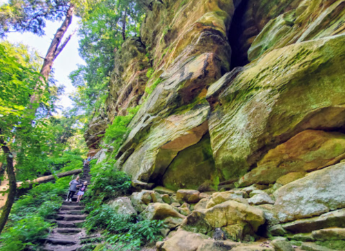 A person sits on stone steps beside a tall, moss-covered rock formation surrounded by lush greenery.