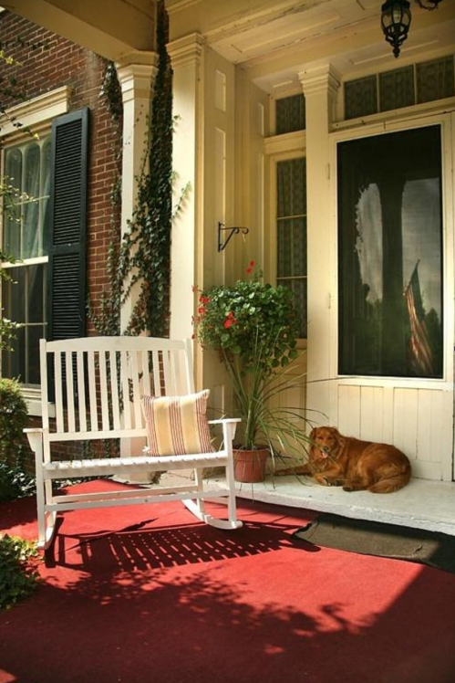 A cozy porch with a white rocking chair, a potted plant, and a golden dog resting on a red mat.