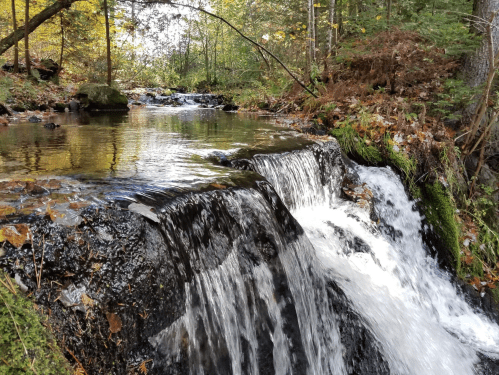 A serene waterfall cascades over rocks into a calm stream, surrounded by lush greenery and autumn leaves.
