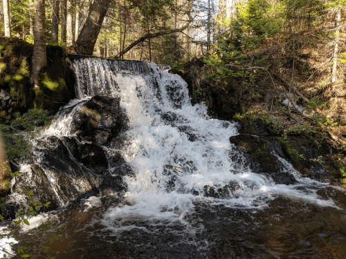 A serene waterfall cascading over rocks, surrounded by lush greenery and trees in a peaceful forest setting.