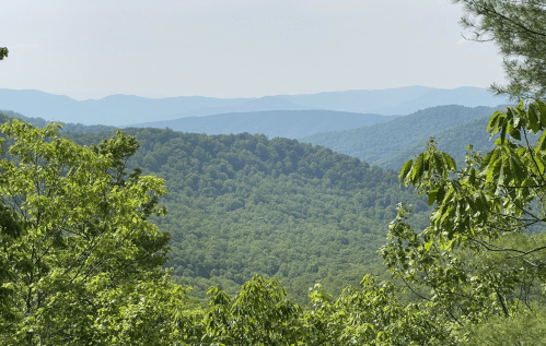 Lush green mountains stretch into the distance under a clear sky, with trees framing the view in the foreground.