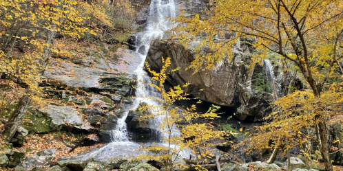 A serene waterfall cascades over rocks, surrounded by vibrant autumn foliage in a tranquil forest setting.