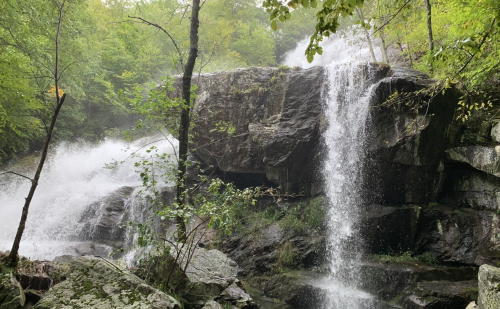 A serene waterfall cascading over rocks, surrounded by lush green trees and mist in a tranquil forest setting.
