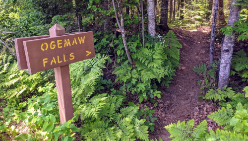 A wooden sign points to Ogemaw Falls, with a forest path surrounded by lush ferns and trees.