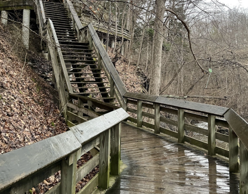 A wooden walkway leads to a steep staircase surrounded by bare trees and fallen leaves. The ground is wet.