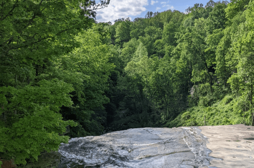 A serene view of a lush green forest with a waterfall cascading over a rocky ledge.
