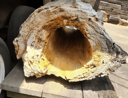 A hollowed-out log with a textured, weathered surface, resting on a wooden platform.