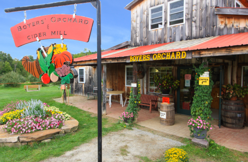 A rustic orchard and cider mill with a colorful sign, flowers, and a welcoming entrance on a sunny day.