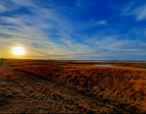 A serene landscape at sunset, featuring golden grasses and a calm water body under a blue sky with wispy clouds.