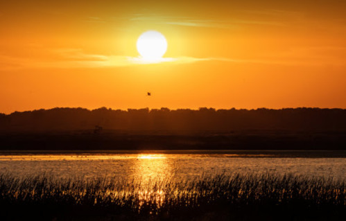 Sunset over a calm lake, with golden hues reflecting on the water and silhouettes of trees in the background.