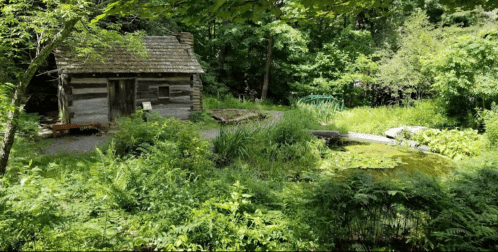 A rustic log cabin surrounded by lush greenery and a small pond, set in a tranquil natural environment.