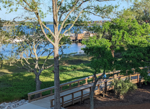 A wooden boardwalk leads through greenery to a serene waterfront with boats in the distance under a clear blue sky.