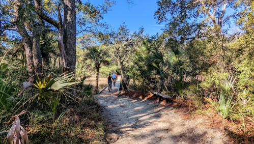 Two people walk along a sandy path through a lush, green forest with palm trees and clear blue skies.