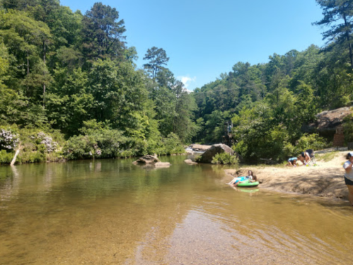 A serene river scene surrounded by lush green trees, with a sandy area and a person relaxing on a float.