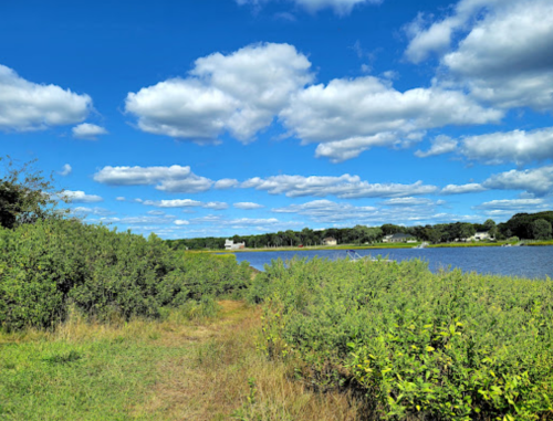 A serene landscape featuring a river, lush greenery, and a bright blue sky with fluffy clouds.
