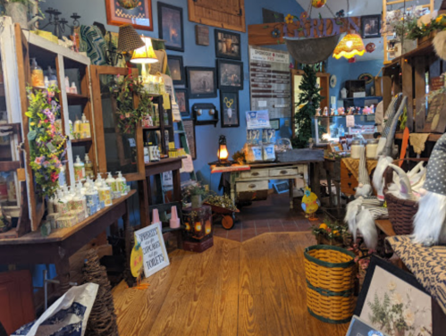 A cozy shop interior filled with wooden shelves, decorative items, plants, and warm lighting.