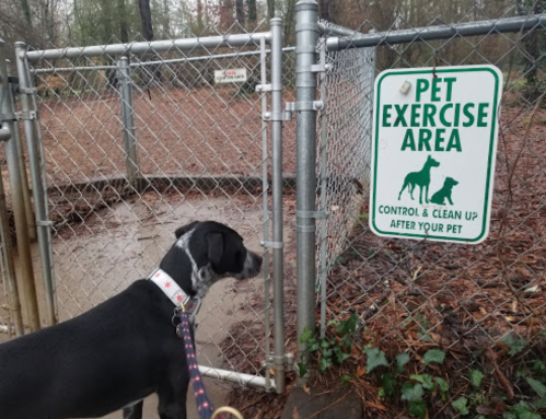 A dog stands near a fenced area with a sign that reads "Pet Exercise Area" in a wooded setting.