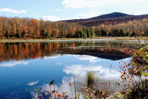 A serene lake reflects autumn trees and a mountain under a blue sky with fluffy clouds.
