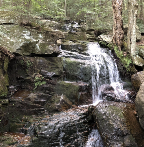 A serene waterfall cascading over rocky terrain, surrounded by lush green trees in a peaceful forest setting.